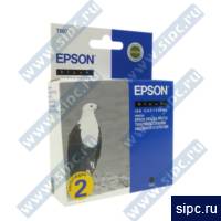  Epson T007402