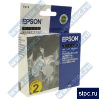  Epson T013402