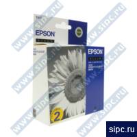  Epson T017402